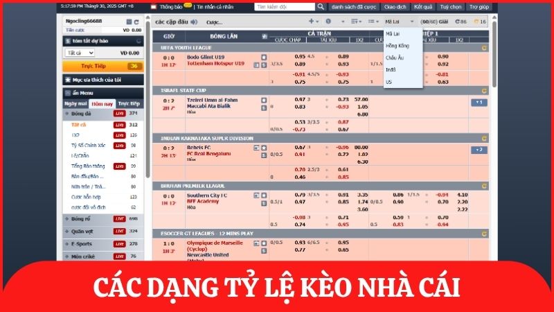 Tổng hợp những loại tỷ lệ cược thường gặp tại nhà cái dành cho người mới